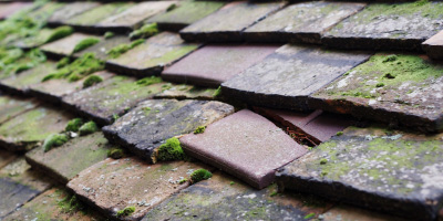 Tilsworth roof repair costs
